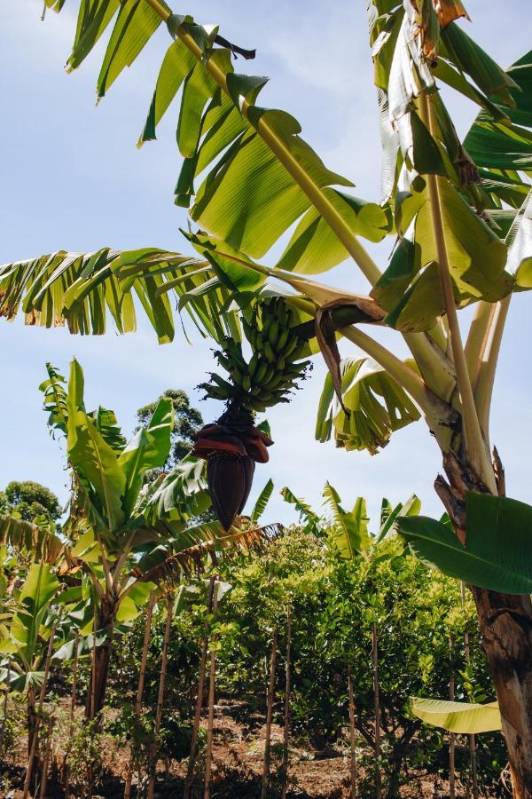 Hotel Vegano Bona Espero Alto Paraíso de Goiás Eksteriør bilde